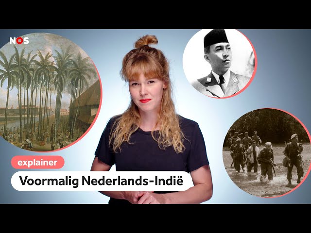 Videouttalande av NEDERLAND Holländska