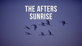 🇺🇸 The Afters - Sunrise