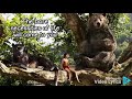 The Bare Necessities Song Lyrics The Jungle Book Live Action