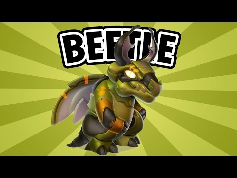How to breed BEETLE - Dragon Mania Legends