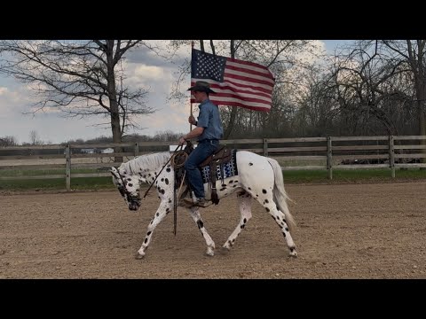 youtube preview
