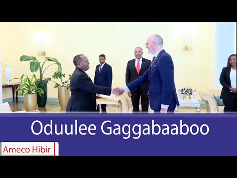 AMECO HIBIR: Oduulee Gaggababoo 08/05/2018