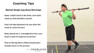 361. Barbell Single Leg Good Mornings