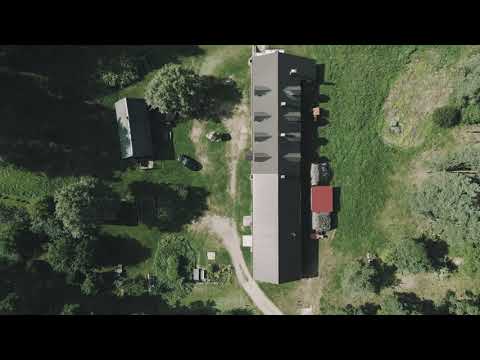 Leśna Dolina | SIDORY 14, | JELENIEWO #2024 #wakacje2024 #LeśnaDolina #suwalszczyzna #chillout