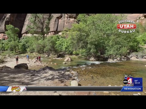 How to avoid harmful bacteria in Zion waters this summer.