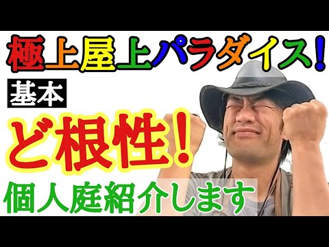 園芸 ロッカリー、ワイルドな呼び起こし