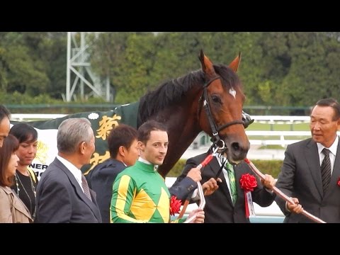 第77回菊花賞2016/サトノダイヤモンド悲願の戴冠　レースから口取りまで(2016.10.23)