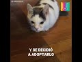 -cuexOdsveU/default.jpg