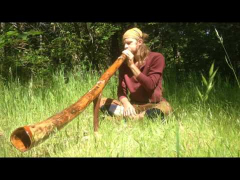 RootFlute Didge - 3 piece - 3 Keyed didgeridoo! C# OM length!