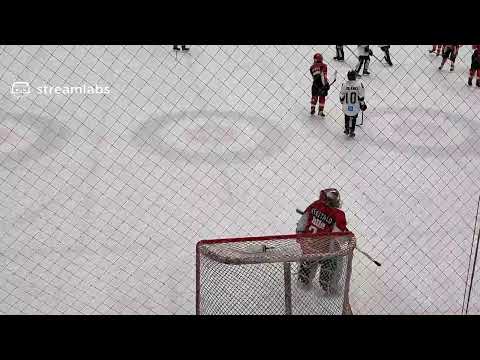 D2 AAA / Sport Komut- JYP Punainen/8.12.2019 klo.12.25