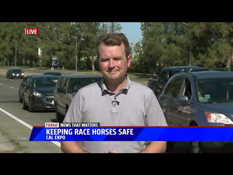 Del Mar accident has California Horse Racing Community Concerned Video