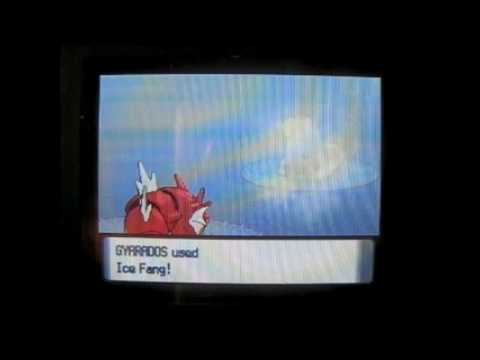 Super EV Training - Atk +69