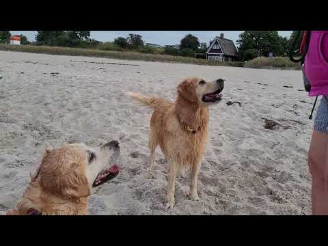 Sehlendorfer Strand - Hohwachter Bucht - 2024 Saison Ende -