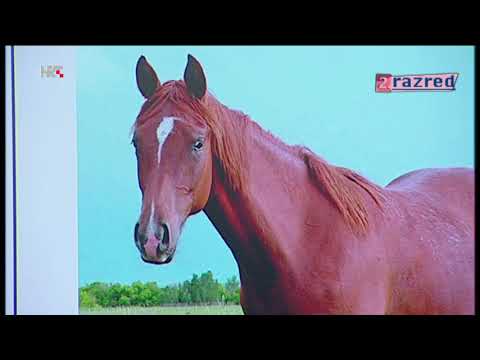 2. RAZRED - PRIRODA I DRUŠTVO - SEOSKO IMANJE