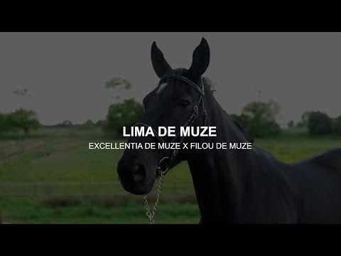 Presentation Lima de Muze