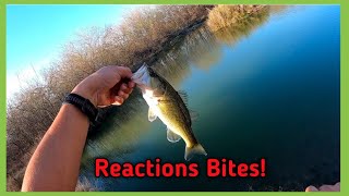 30 Minutes of BASS Fishing