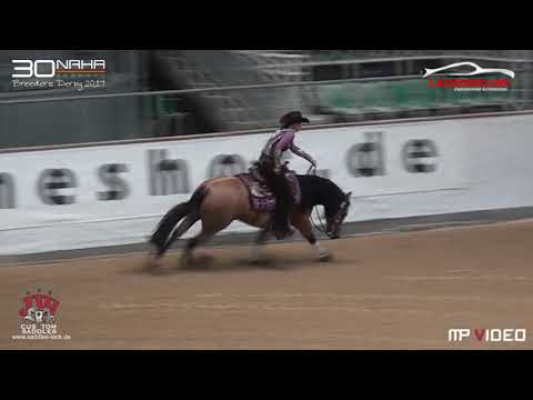 NRHA Breeders Derby 2017 Kreuth, Breeders Derby Open Champion, Ann Fonck Poels, MADE IN WALLA, Besit