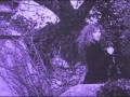 Loreena McKennitt-To the Fairies they Draw Near ...