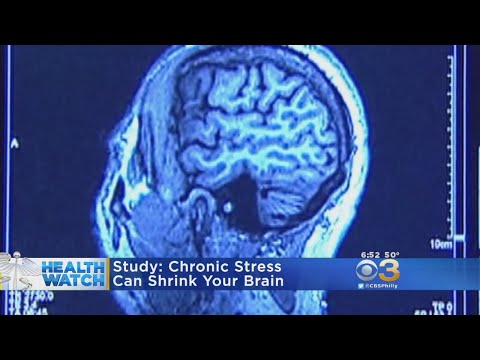 Study: Chronic Stress Can Shrink Your Brain