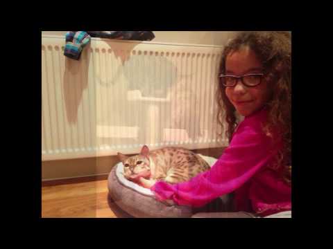 Blaze RIP 2005 to 2017