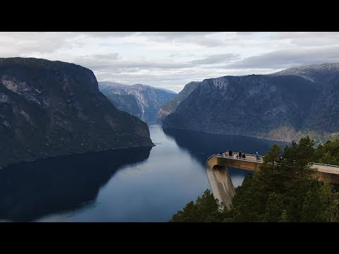 Guided tour and fjord cruise to Nærøyfjorden, Flåm and Stegastein viewpoint