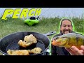 Video Thumbnail for Catch n Cook! PERCH Fish Crisp!