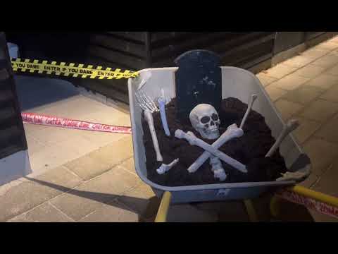 Trick or Treat - Slik eller Ballade!!🕸️🕷️💀🎃