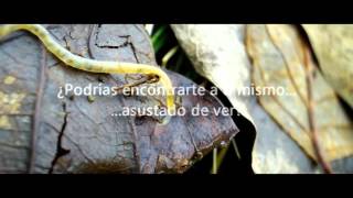 Nine Inch Nails - Right Where it Belongs V.2 (subtítulos español)