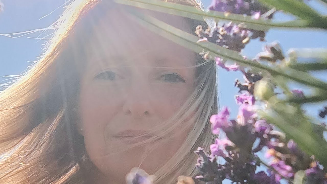 Unser Garten im Juli