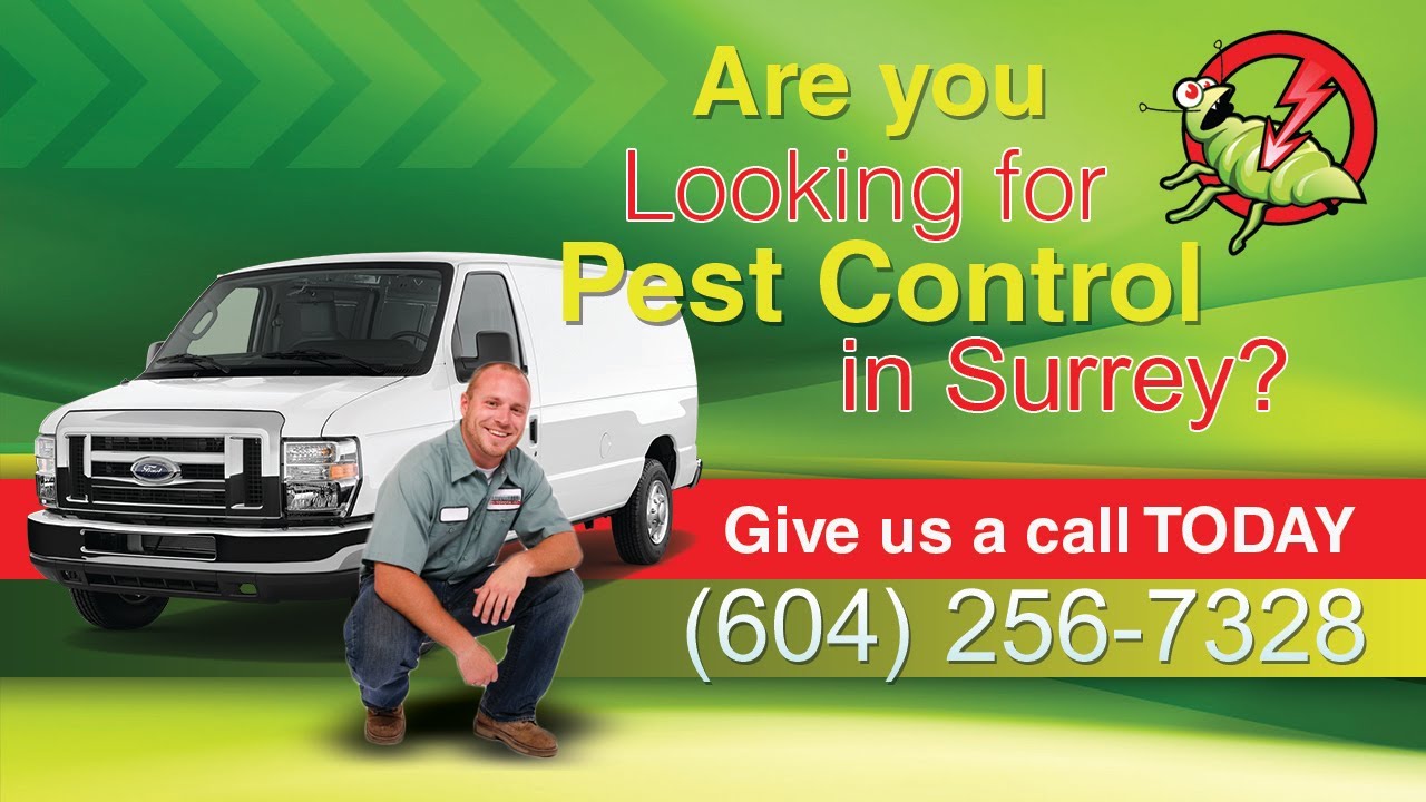 Pest Control Surrey BC | (604)256-7328 | 24 Hour Emergency Exterminator Service