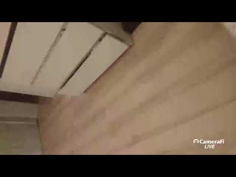 Aleksandra Białas's broadcast