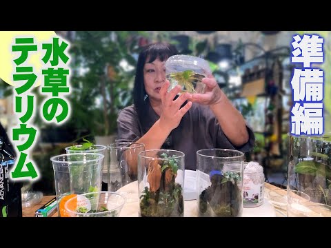 オイルクレンザーとしての水生シダ