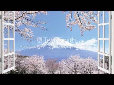 Shirfine - Illusionary Daytime (幻昼)