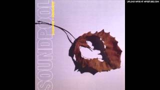 Soundpool - Pleasure & Pain
