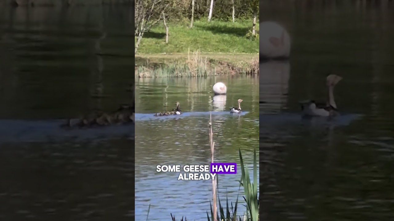 Lovely nature naturing today! #ADHDLife #FibroLife #PoolBridgeFarm #PaddleBoarding