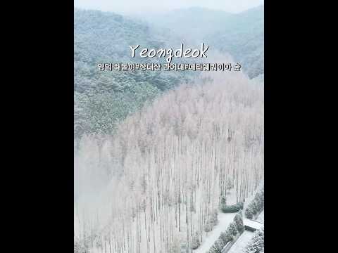 겨울 국내 여행지 추천 #영덕