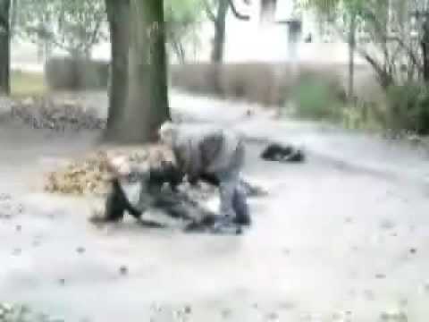 Inseminační stanice - Věčný boj alkohol