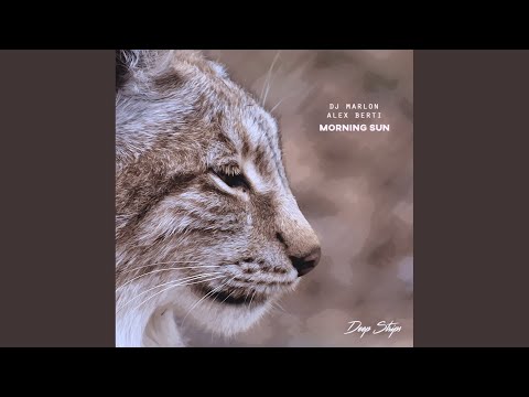 Morning Sun (Original Mix)