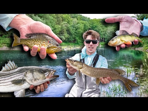 24 HOUR MULTI-SPECIES FISHING CHALLENGE!