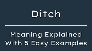 What Does Ditch Mean Ditch Meaning in English With 5 Example Sentences