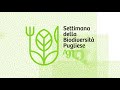 Diversità e variabilità dei suoli: caratteristiche fisiche, struttura e permeabilità. Implicazioni sulla qualità del suolo