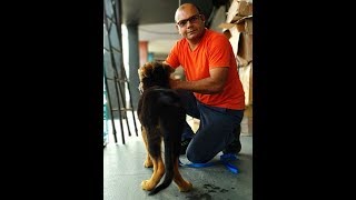 Weakness In Dogs Hind/Back legs? Causes and Solution | By Baadal Bhandaari Pathankot 9878474748