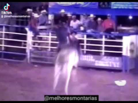 ALLAN MORAES X ESPALHA BRASA - RODEIO DE LOBATO - PR