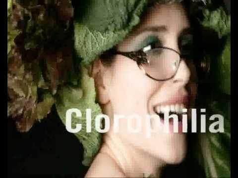 X-ide. Design und Individualität  | Optik Fuchs Weißenthurm