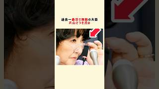 片山さつき大臣の優秀すぎるエピソード5選　#政治