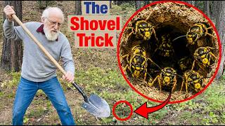 The Dumbest Way to Destroy a Yellowjacket Nest — No Chemicals, No Spray