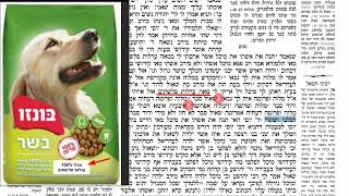 דף יומי מסכת סנהדרין דף יט Daf yomi Masechet Sanhedrin page 19  ע"י יוני גוטמן (שיעורי הדף היומי ב-20 דקות – מועבר ע"י ר' יוני גוטמן – לעילוי נשמת אביו ר' אלימלך צבי (צביקה) גוטמן ז"ל) - התמונה מוצגת ישירות מתוך אתר האינטרנט יוטיוב. זכויות היוצרים בתמונה שייכות ליוצרה. קישור קרדיט למקור התוכן נמצא בתוך דף הסרטון