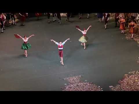 Semyon Chudin Don Quixote Variation I act