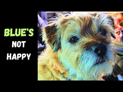 Outer Hebrides Ep 6 He didn't play. He couldn't keep and He didn't get!