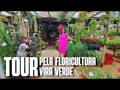 TOUR PELA FLORICULTURA VIRA VERDE: FLORICULTURA EM GURIRI/ES | FLORES, FOLHAGENS E MUITAS PLANTAS